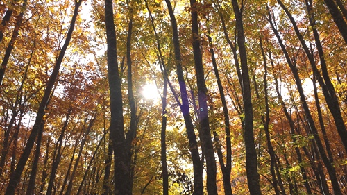 20141019_102026